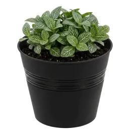doniczka-wiadro-okragla-o-17-cm-grafit-minimalistyczna-prosta-h-165-cm