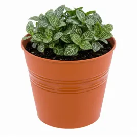 doniczka-wiadro-okragla-o-15-cm-terakota-minimalistyczna-h-14-cm
