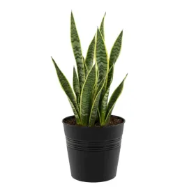 doniczka-wiadro-okragla-o-19-cm-grafit-minimalistyczna-prosta-h-185-cm