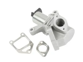 zawor-egr-0-xdi-ssangyong-actyon-kyron-rexton-rodius-2005-