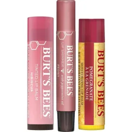 burt-s-bees-zestaw-pomadek-do-ust-gumka-do-wlosow-3szt