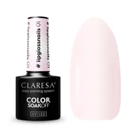 claresa-lakier-hybrydowy-lipglossnails