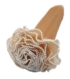 sztywny-tiul-z-perelkami-28cm-38mb-cappuccino-tiulper28-125