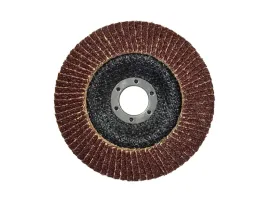 sciernica-tarcza-listkowa-lamelka-125mm-p36-g00306