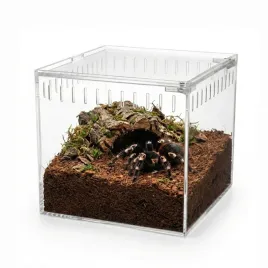 happet-terrarium-akrylowe-dla-pajaka-13x11x12cm