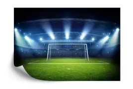 fototapeta-bramka-na-stadionie-vinyl-gladki-460x300