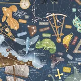mapa-nieba-mlodego-odkrywcy-mapa-artglob-okladka-inna