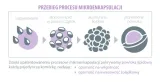 probiobalance-bifidobacterium-balance-10-mld-probiotyki