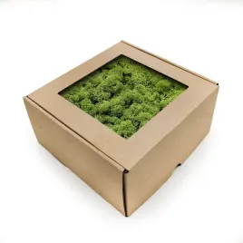 mech-chrobotek-reniferowy-norwegia-sredniozielony-50g