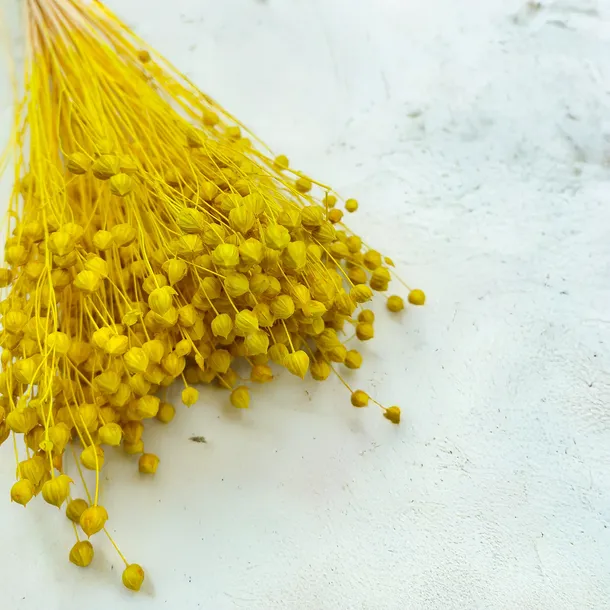 len-suszony-zolty-waga-z-opakowaniem-0-9-kg