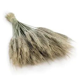 pszenzyto-suszone-naturalne