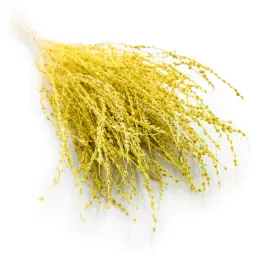 lepidium-lepidium-sativum-zolte