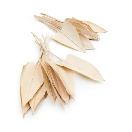 palma-arrow-leaf-strzalka-palm-spear-bielona-20szt