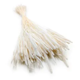 suszona-trawa-tymotka-phleum-bielona