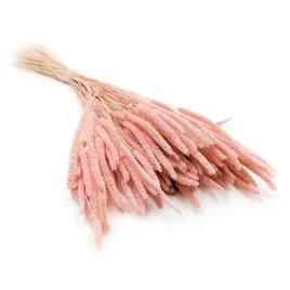 suszona-trawa-tymotka-phleum-perlowy-roz