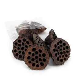 lotos-duzy-xl-10cm-naturalny-susz-egzotyczny-10szt