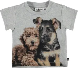 molo-t-shirt-emilio-pups-mates-roz-68