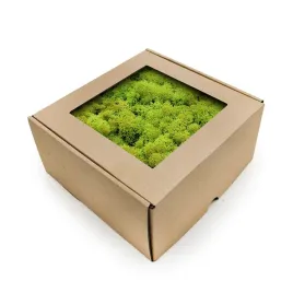 mech-chrobotek-reniferowy-norwegia-wiosenna-zielen-500g