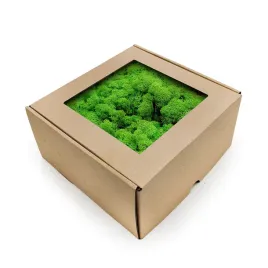 mech-chrobotek-reniferowy-norwegia-trawiasty-zielony-500g