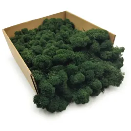 mech-chrobotek-reniferowy-finski-oczyszczony-ciemnozielony-250g