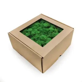 mech-chrobotek-reniferowy-norwegia-trawa-w-cieniu-250g