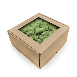 mech-chrobotek-reniferowy-norwegia-mietowa-zielen-250g