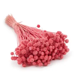 botao-amarelino-amarelinho-buraczkowe