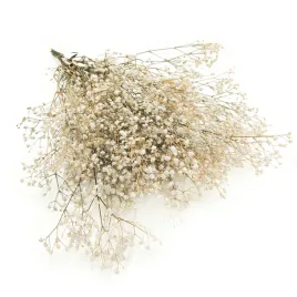 gipsowka-stabilizowana-gypsophila-naturalna-biala