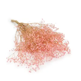 gipsowka-stabilizowana-gypsophila-pastelowy-rozowy