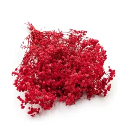 gipsowka-stabilizowana-gypsophila-royal-bouquet-czerwona