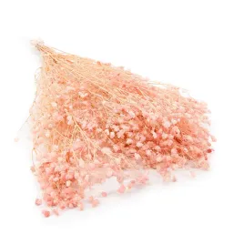 gipsowka-stabilizowana-cotton-gypsophila-pudrowy-roz