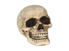 czaszka-sztuczna-halloween-8-cm-wykonana-z-zywicy-dekoracja-czacha-guirca