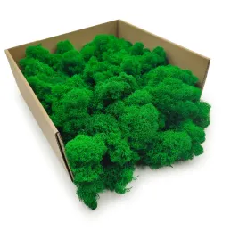 mech-chrobotek-reniferowy-finski-oczyszczony-zielony-500g