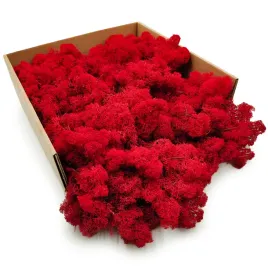 mech-chrobotek-reniferowy-finski-oczyszczony-czerwony-500g