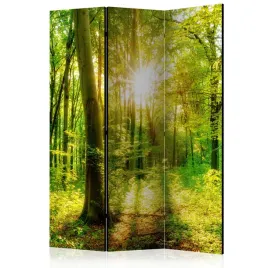 parawan-akustyczny-pokojowy-3-czesci-promienie-slonca-las-natura-135x172