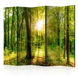 parawan-jednostronny-pokojowy-5-czesci-promienie-slonca-las-natura-225x172