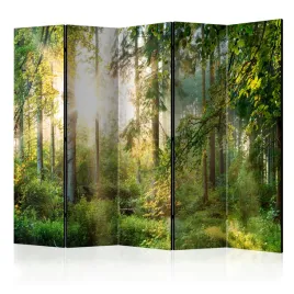 parawan-dwustronny-pokojowy-5-czesci-las-natura-wschod-slonca-3d-225x172