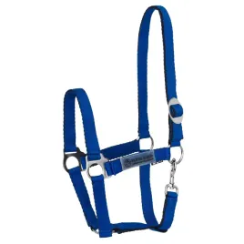 kantar-dla-konia-i-kuca-neonowy-horse-trade-soft-neon-niebieski-full