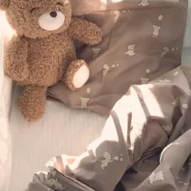 petu-petu-posciel-dziecieca-poszewki-100x140-40x45-junior-teddy