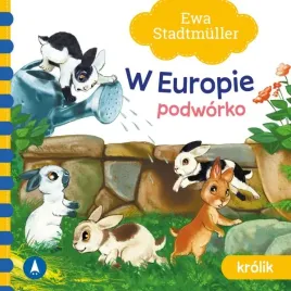 w-europie-podworko-krolik-wiersze-skrzat