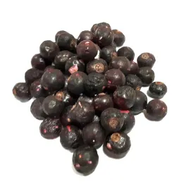 porzeczka-czarna-liofilizowana-20g