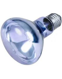 trixie-neodymowa-zarowka-grzewcza-75w
