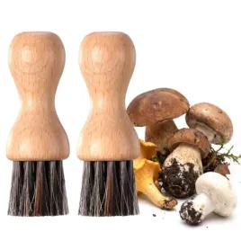 szczotka-drewniana-do-czyszczenia-grzybow-pieczarek-z-wlosiem-konskim-2-szt