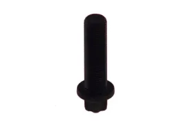 sruba-man-m16x15x55