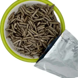 larwy-muchy-karma-dla-gadow-zolwi-plazow-jaszczurki-1x-saszetka