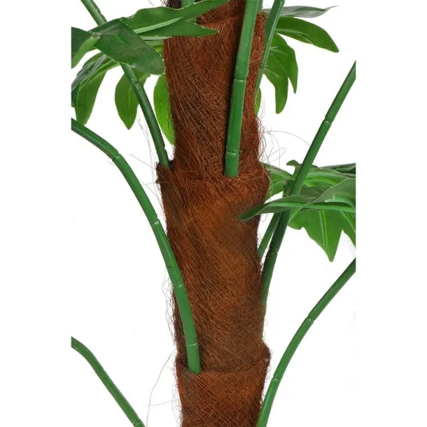 zielone-drzewo-wysokosc-maksymalna-125-cm