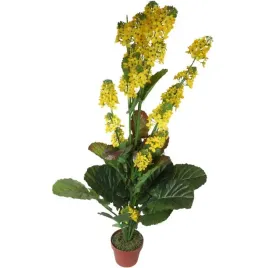 zolty-kwiat-rzepaku-w-doniczce-o-wysokosci-130cm