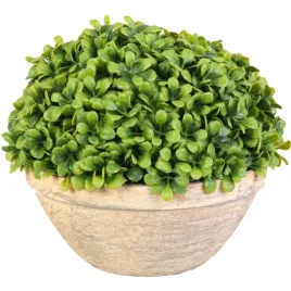 zielona-kula-bukszpanu-w-glinianej-donicy-25-cm