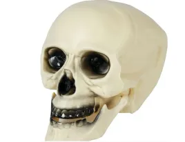 czaszka-ozdoba-straszna-halloween-20-cm-czacha