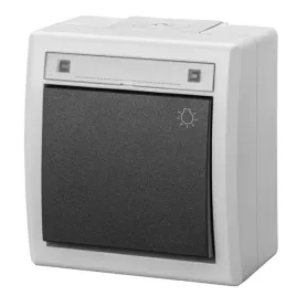 aquant-2k-przycisk-odbijajacy-ikona-swiatlo-n-t-ip55-szary-5004-10